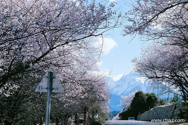 林芝報團(tuán)旅游